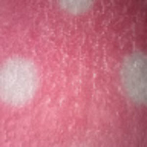 Meet your Posher, Diana